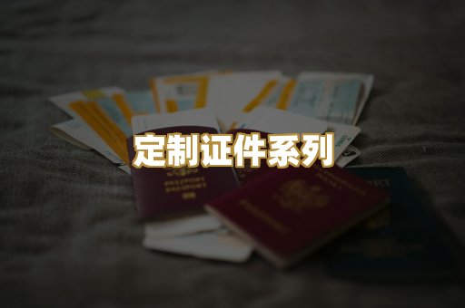 定制证件系列